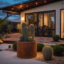 Load image into Gallery viewer, Corten Steel Cylinder Planters -COMING SOON- Pre-order available now