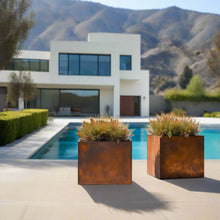 Load image into Gallery viewer, Corten Steel Cube Planters - FREE SHIPPING!