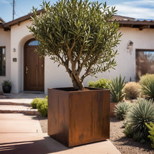 Load image into Gallery viewer, Corten Steel Cube Planters - FREE SHIPPING!