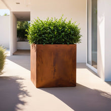 Load image into Gallery viewer, Corten Steel Cube Planters - FREE SHIPPING!