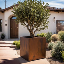Load image into Gallery viewer, Corten Steel Cube Planters - FREE SHIPPING!