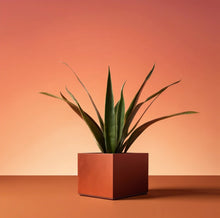 Load image into Gallery viewer, Corten Steel Cube Planters - FREE SHIPPING!