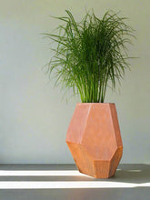 Load image into Gallery viewer, Corten Steel Geo Planter