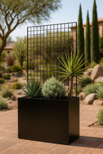 Load image into Gallery viewer, Steel Edge Planter with Trellis - FREE SHIPPING!