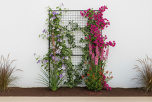 Load image into Gallery viewer, Steel Trellis Panel