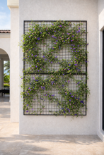Load image into Gallery viewer, Steel Trellis Panel