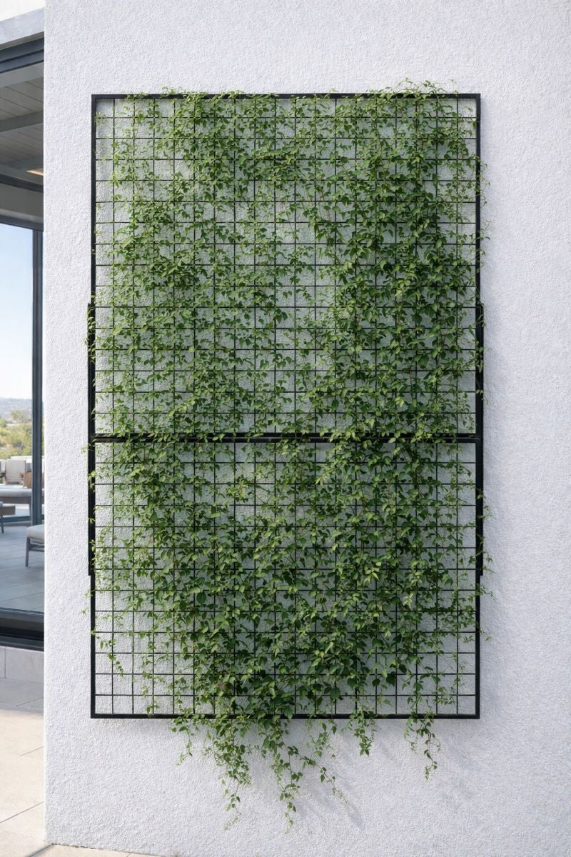 Steel Edge Trellis – MK Design Elements