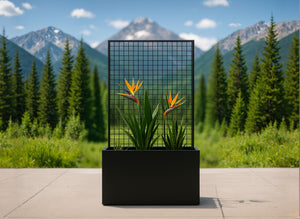 Steel Edge Planter with Trellis - FREE SHIPPING!