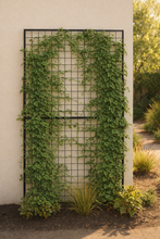 Load image into Gallery viewer, Steel Trellis Panel