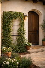 Load image into Gallery viewer, Steel Trellis Panel