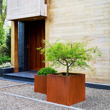 Load image into Gallery viewer, Corten Steel Cube Planters - FREE SHIPPING!