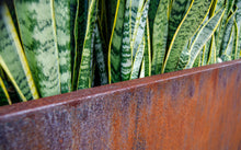 Load image into Gallery viewer, Corten Steel Edge Planters - FREE SHIPPING!
