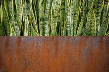 Load image into Gallery viewer, Corten Steel Edge Planters - FREE SHIPPING!